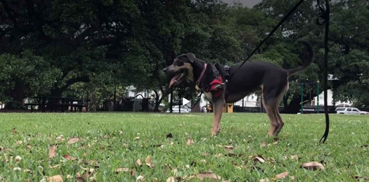 Load video: 