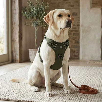 No Pull Harness Palo Pets
