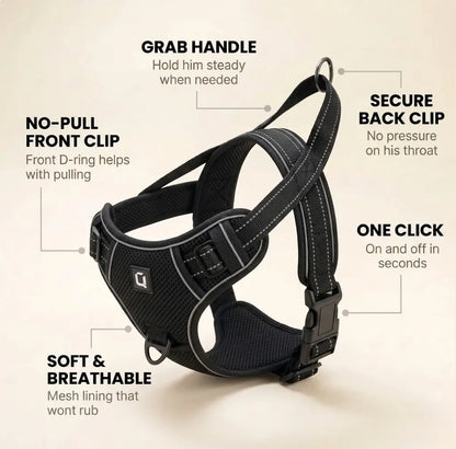 No Pull Harness Palo Pets