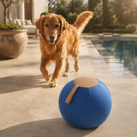 Dog Herding Ball
